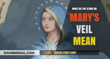 Unveiling the Celestial Secrets: Mary's Veil and Its Starry Symbolism