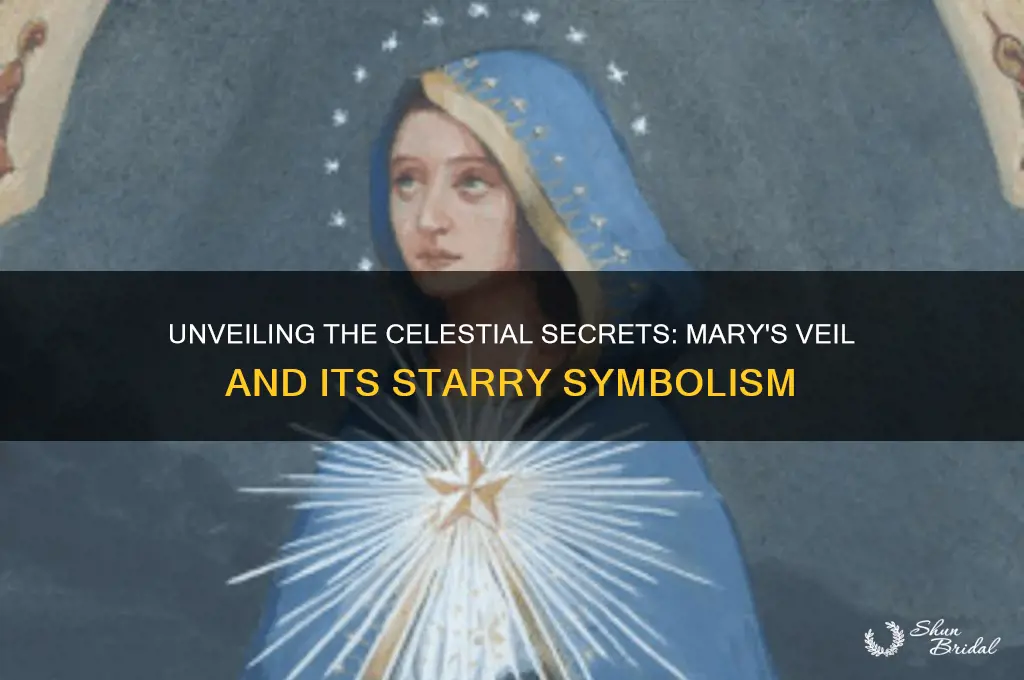 what do the stars on mary