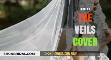 Unveiling the Mystery: What Do the Veils Truly Conceal?