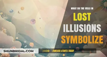 Unveiling Symbolism: The Veils in Lost Illusions Explained