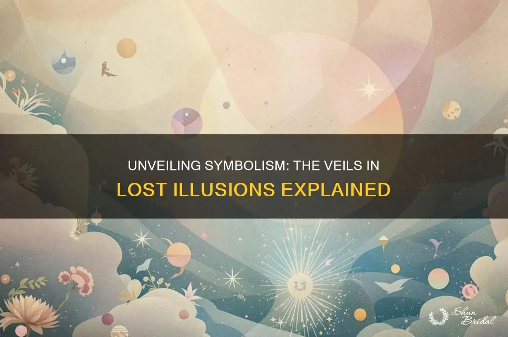 what do the veils in lost illusions symbolize