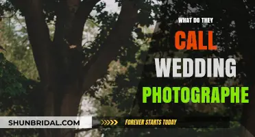Capturing Nuptial Bliss: The Art of Wedding Photography