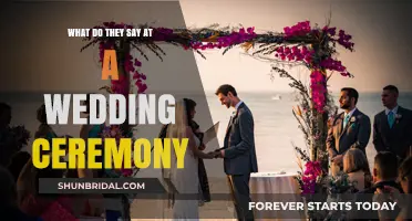 Vows, Promises, and Love: Decoding Wedding Ceremony Speeches and Traditions