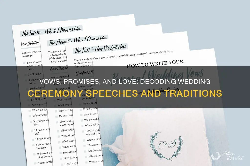 what do they say at a wedding ceremony