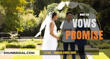 What Do Vows Promise? Exploring Commitment, Love, and Lifelong Bonds
