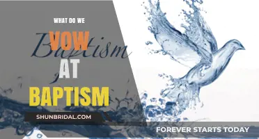 Baptismal Vows Explained: Understanding Our Sacred Commitments to God and Faith