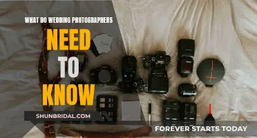 Wedding Photographers: Essential Knowledge for Capturing Special Moments