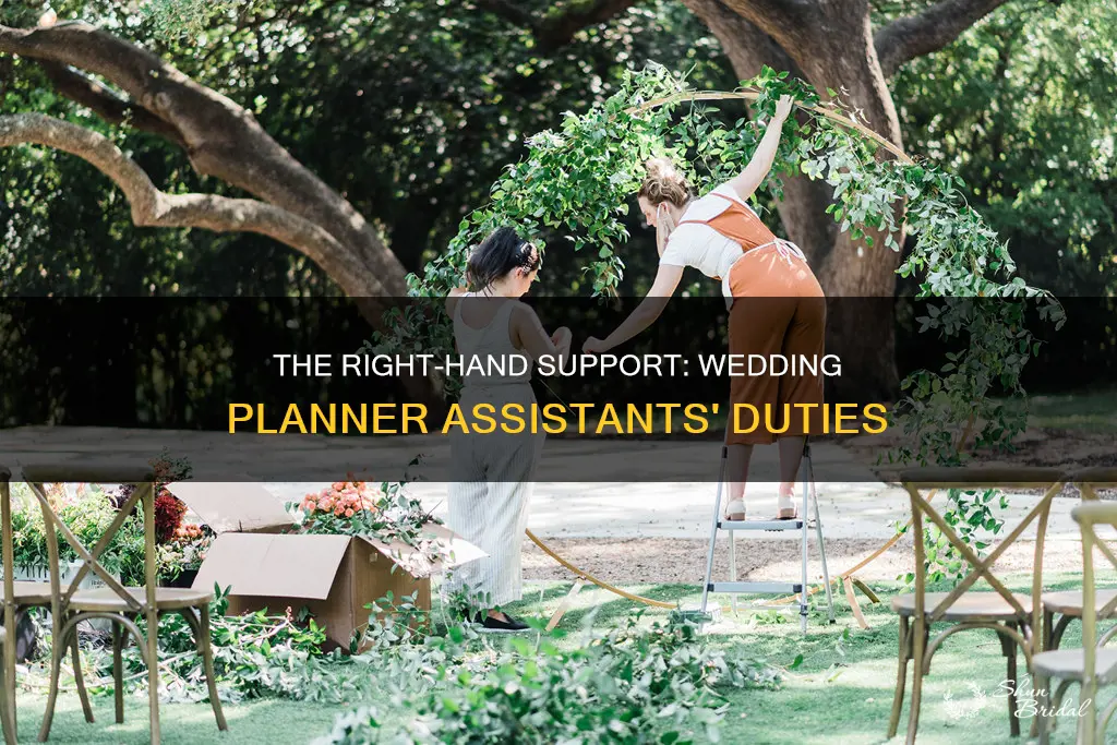 what do wedding planner assistants do