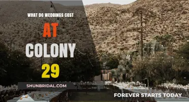 Colony 29 Wedding Costs: A Comprehensive Budget Breakdown