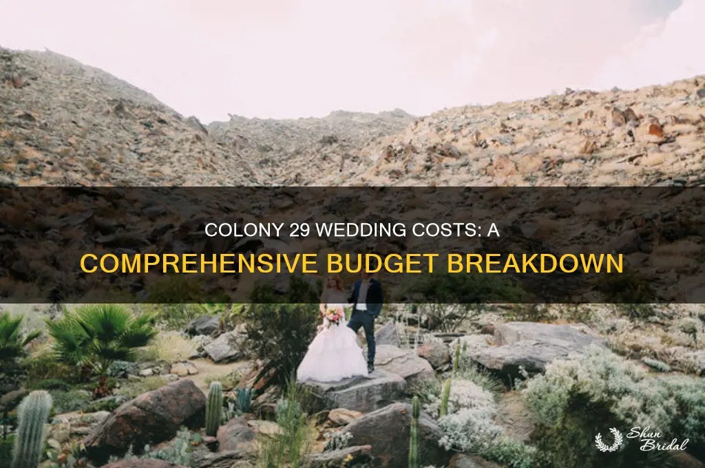 what do weddings cost at colony 29