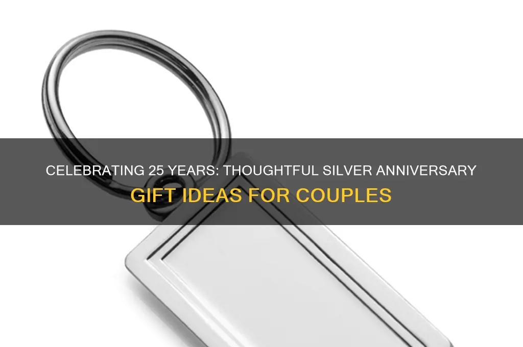 what do you buy for 25 wedding anniversary