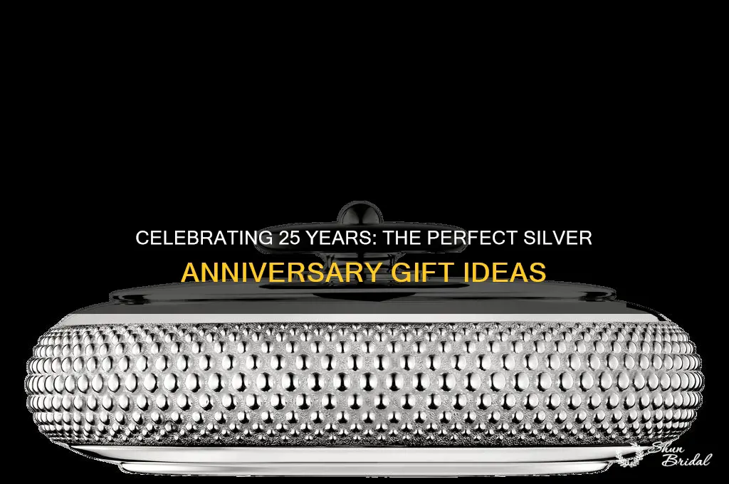 what do you call 25th wedding anniversary gifts