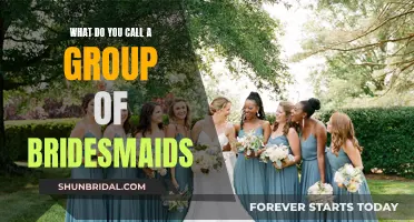 Bridesmaids Brigade: Group Dynamics and Friendship