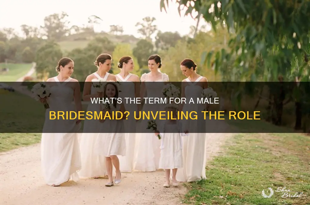 what do you call a male bridesmaid