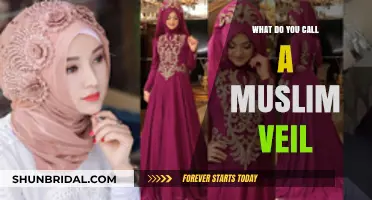 Understanding the Muslim Veil: Names, Styles, and Cultural Significance