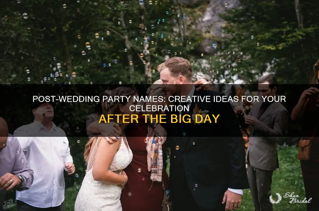 what do you call a post wedding party