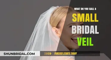Delicate Bridal Veil Names: What to Call a Small Wedding Veil
