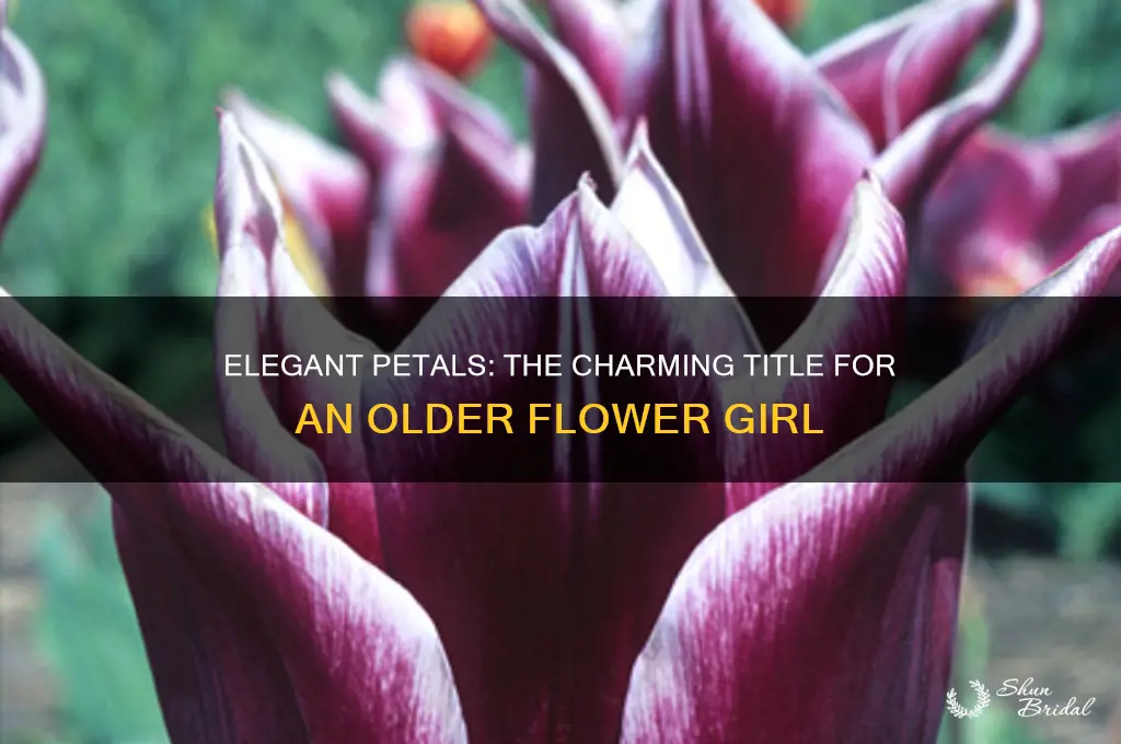 what do you call an older flower girl