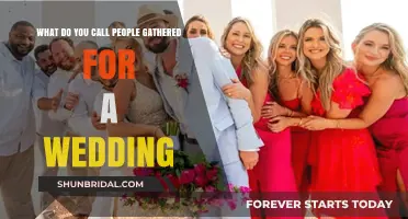 Wedding Guests: The Perfect Term for People Gathered to Celebrate Love