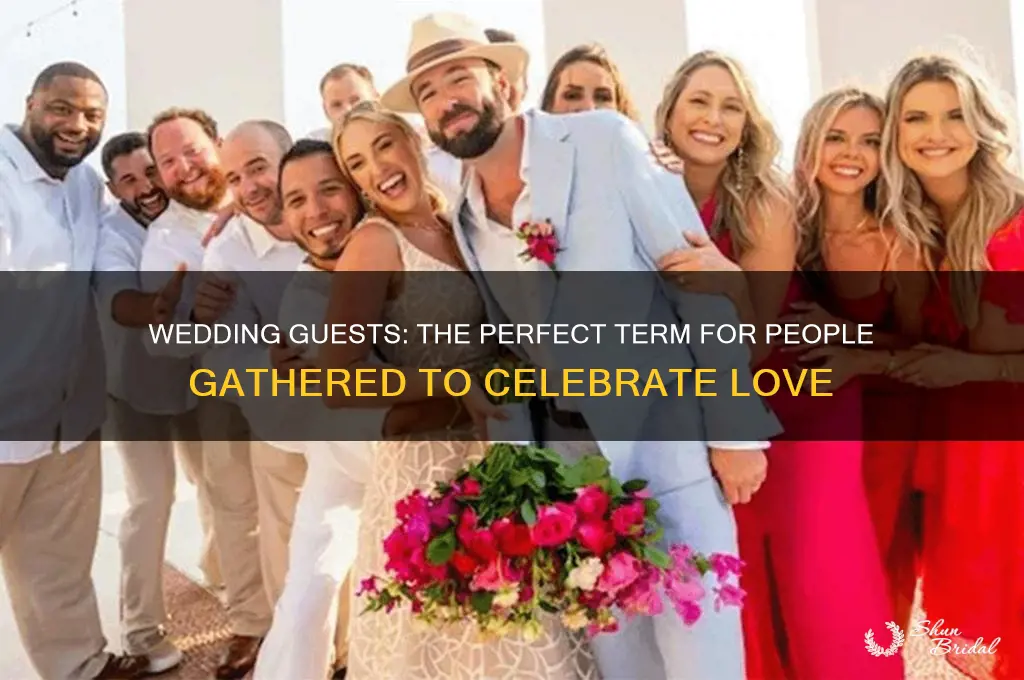 what do you call people gathered for a wedding