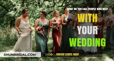 Your Dream Team: Meet the Wedding Professionals Behind Your Big Day