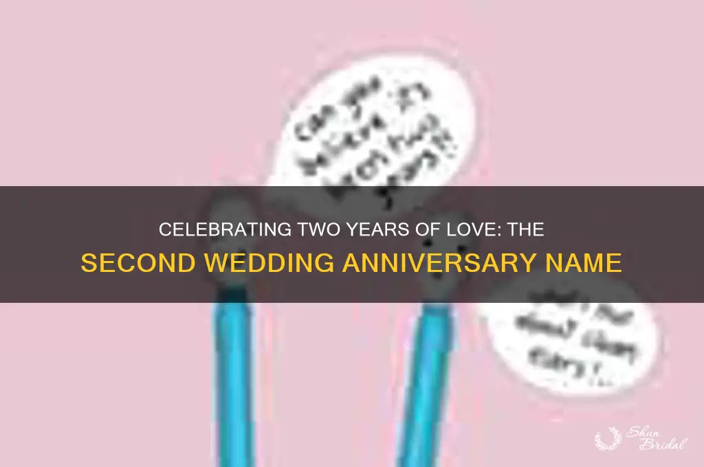 what do you call second wedding anniversary