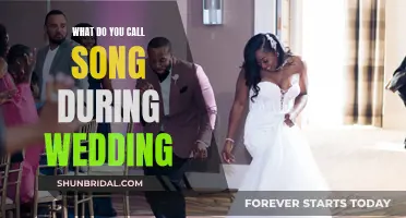 The Joy of Wedding Songs and Their Significance