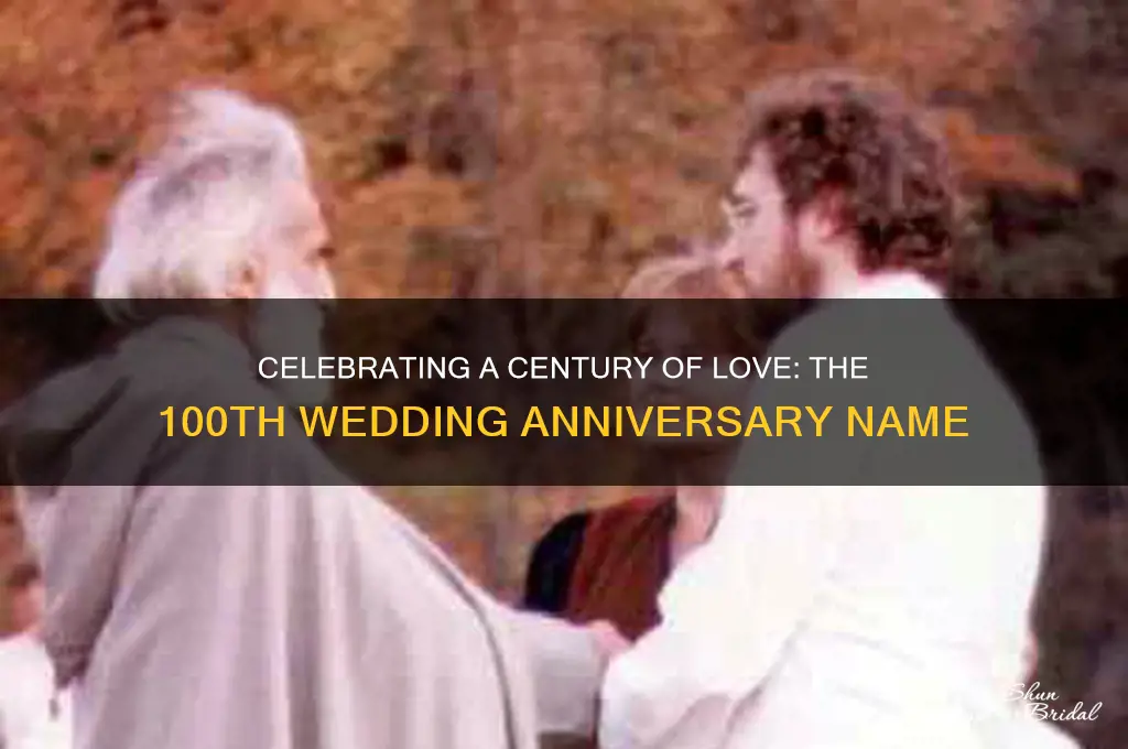 what do you call the 100th wedding anniversary