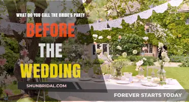 Bridal Shower Bliss: Celebrating the Bride's Pre-Wedding Party