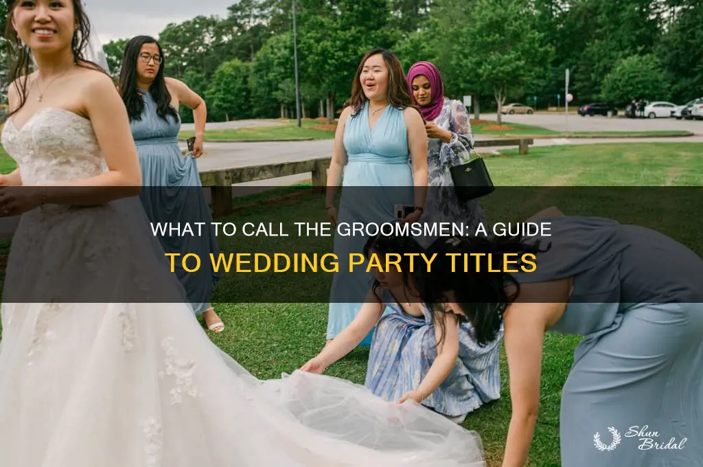 what do you call the groomsmen