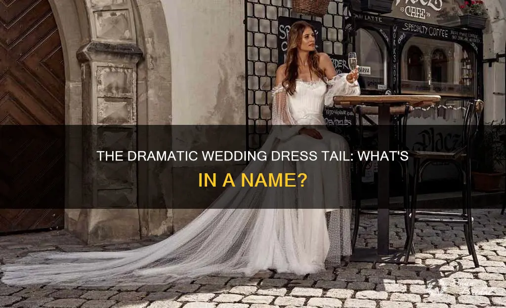 what do you call the tail of a wedding dress