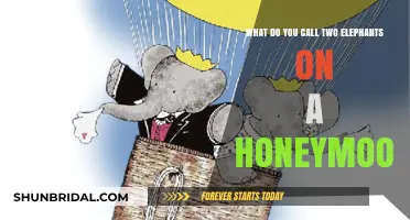 Two Elephants on a Honeymoon: Unveiling the Adorable Moniker Mystery