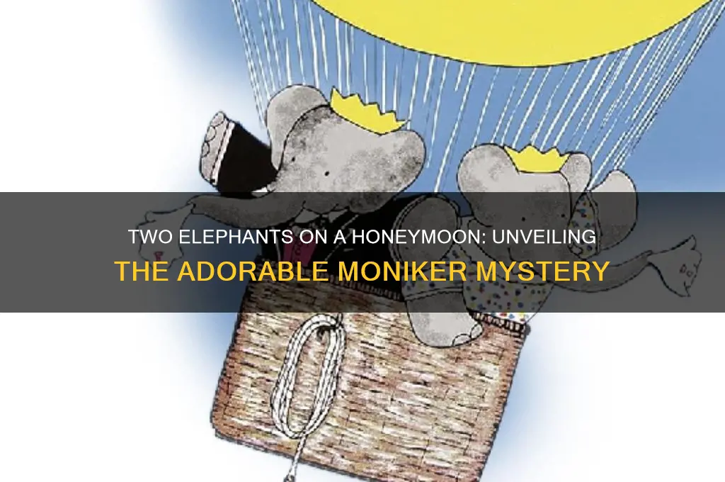 what do you call two elephants on a honeymoon