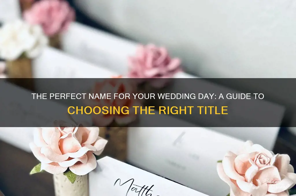 what do you call your wedding day