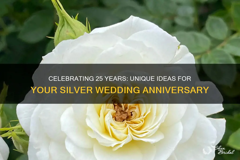 what do you do for 25th wedding anniversary