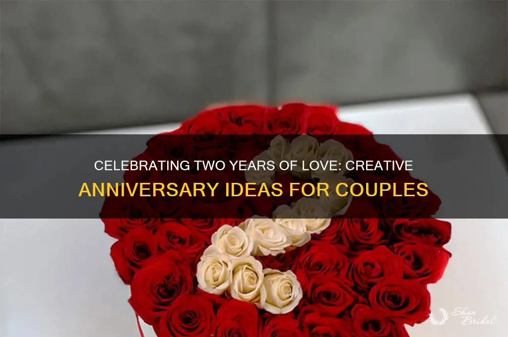 what do you do for your 2 year wedding anniversary