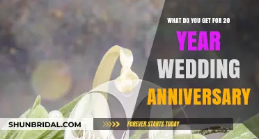 Celebrating Two Decades of Love: 20th Wedding Anniversary Gift Ideas