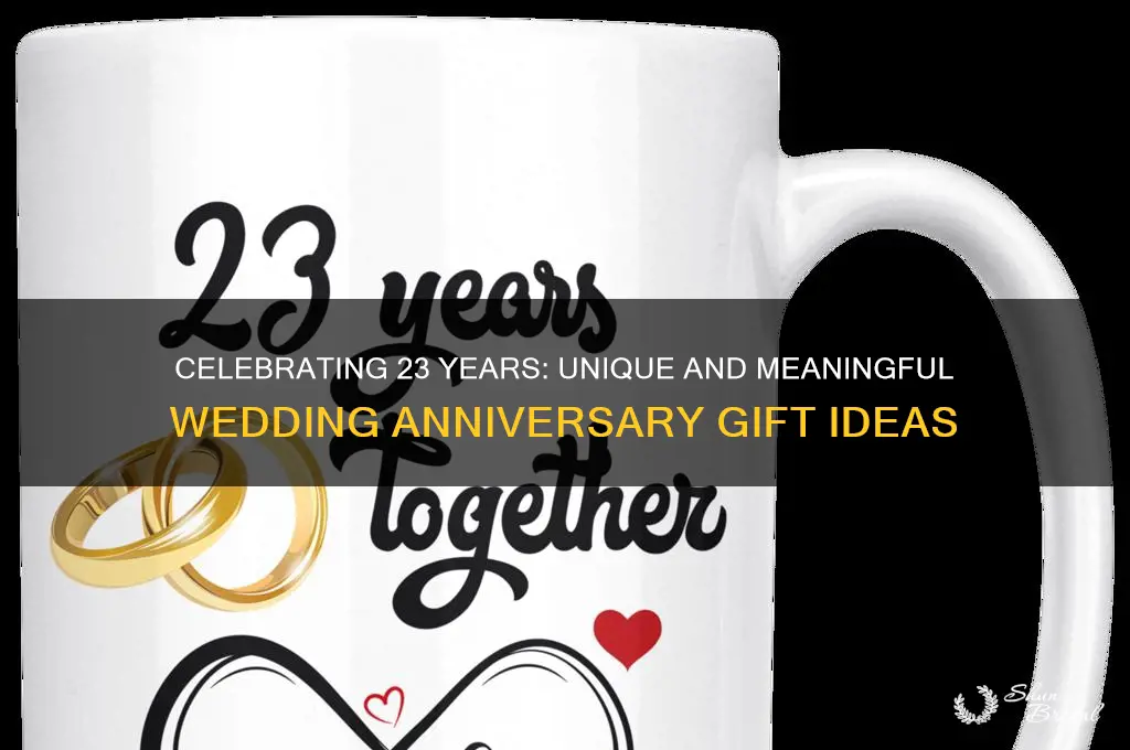what do you get for 23rd wedding anniversary