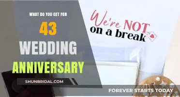 Celebrating 43 Years of Love: Traditional and Modern Anniversary Gift Ideas