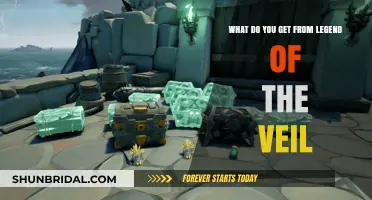 Unveiling the Rewards: What Legend of the Veil Offers Players