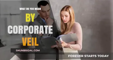 Understanding the Corporate Veil: Legal Protection for Businesses Explained
