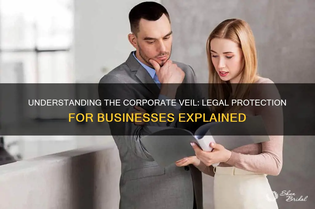 what do you mean by corporate veil