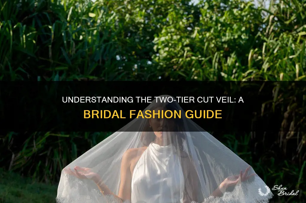 what do you mean by two tier cut veil
