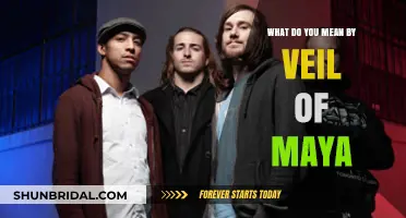 Unveiling the Veil of Maya: Understanding the Illusion of Reality