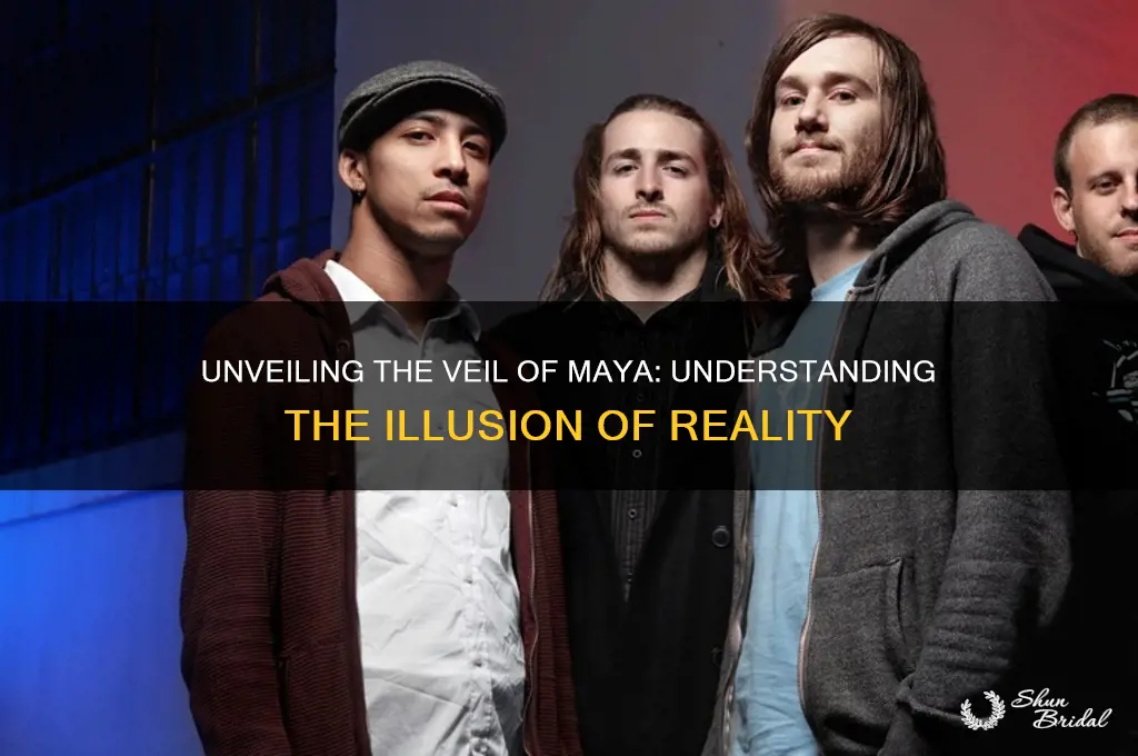 what do you mean by veil of maya