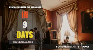 Wedding Panic: 9 Days Left, What Do You Mean?!