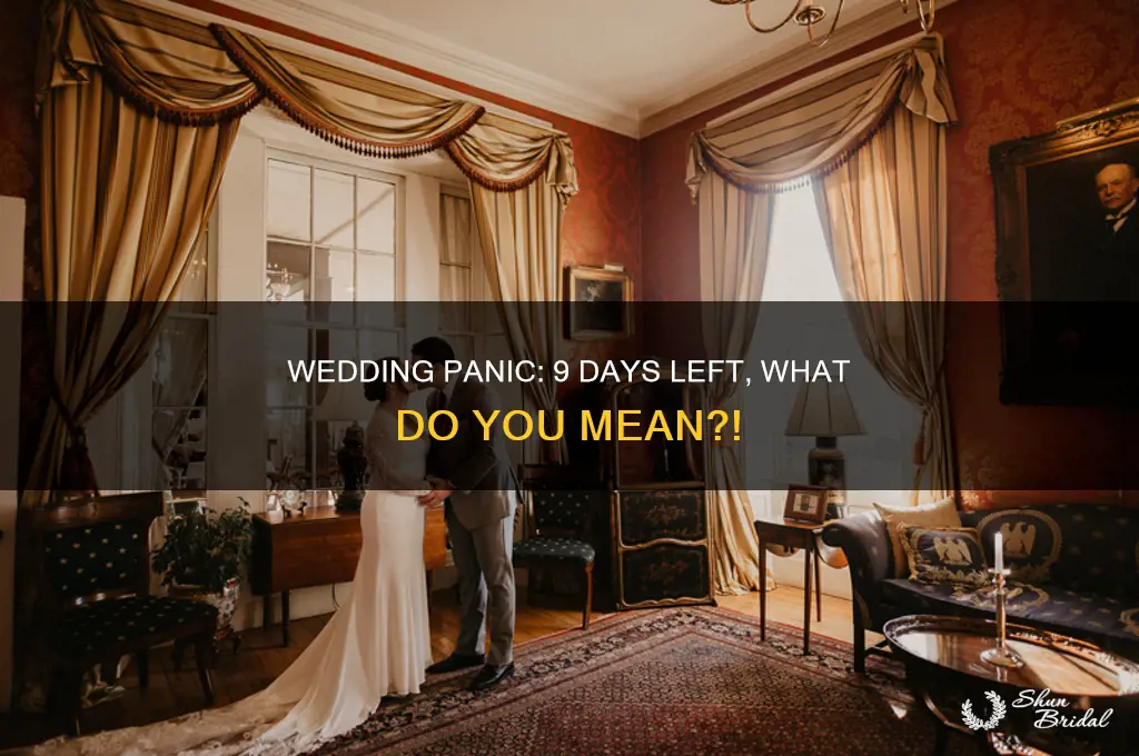 what do you mean the wedding is in 9 days