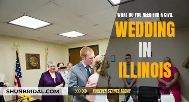 Civil Wedding in Illinois: What You Need to Know