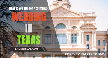 Texas Courthouse Wedding: What You Need to Know