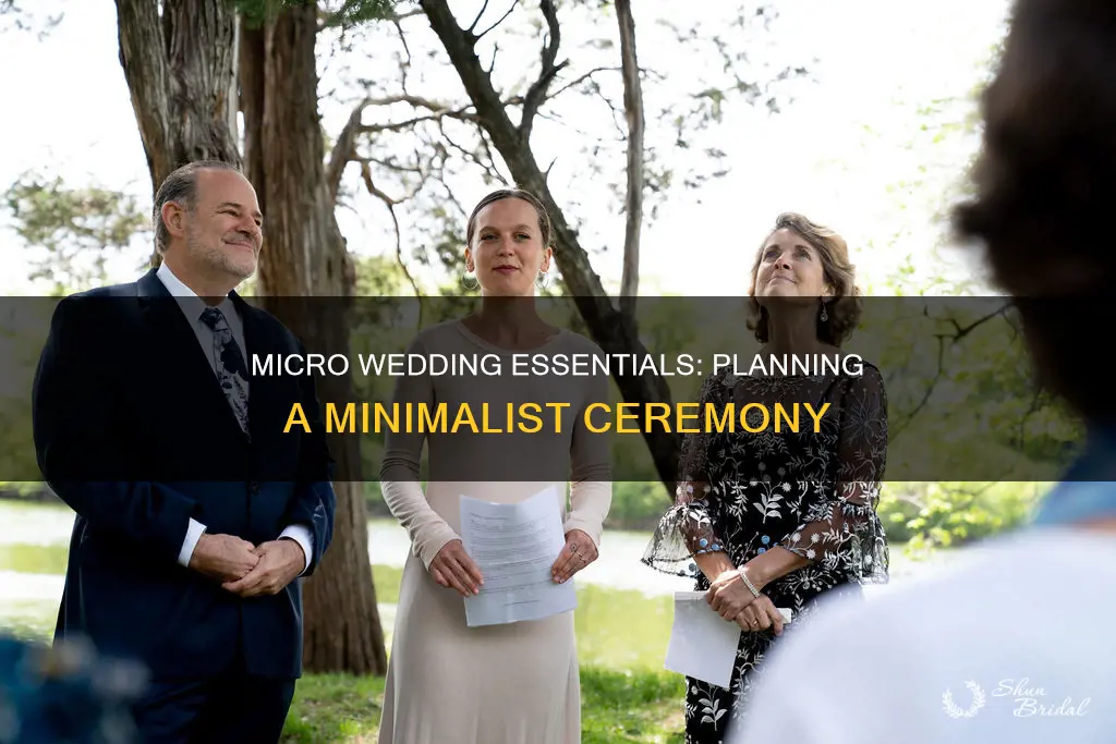 what do you need for a micro wedding